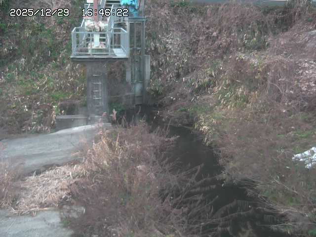 取得できませんでした