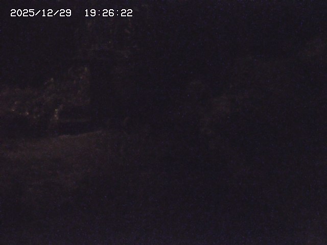 取得できませんでした