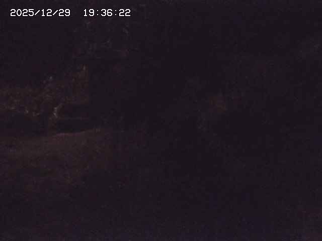 取得できませんでした