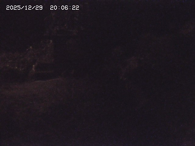 取得できませんでした