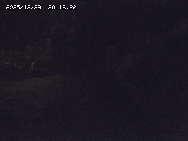 取得できませんでした