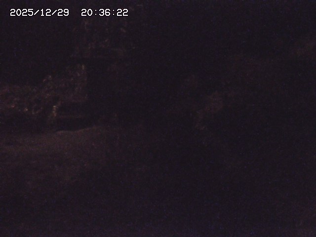 取得できませんでした