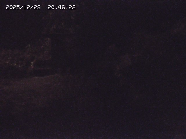 取得できませんでした