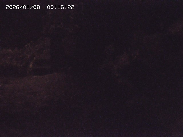 取得できませんでした