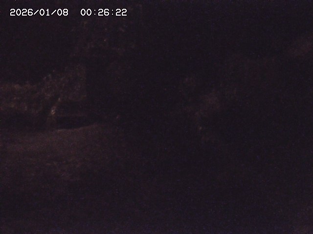 取得できませんでした