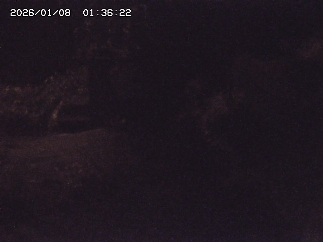 取得できませんでした