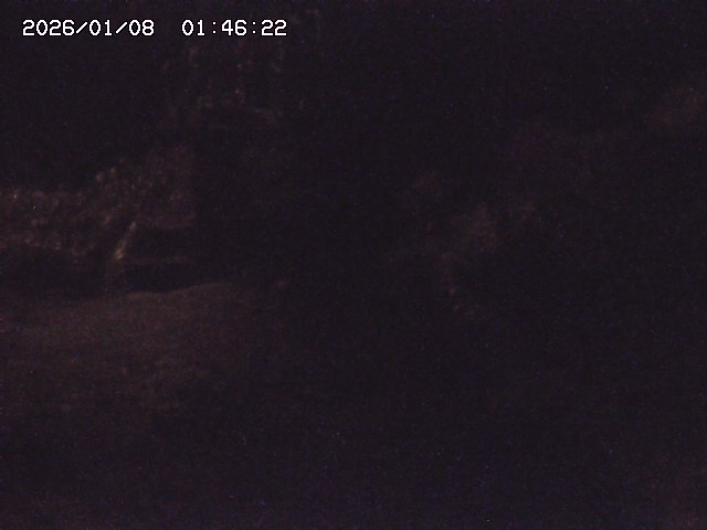 取得できませんでした