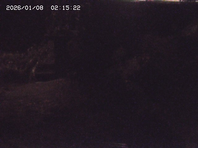 取得できませんでした