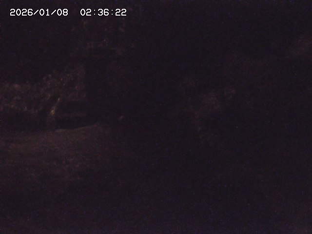 取得できませんでした