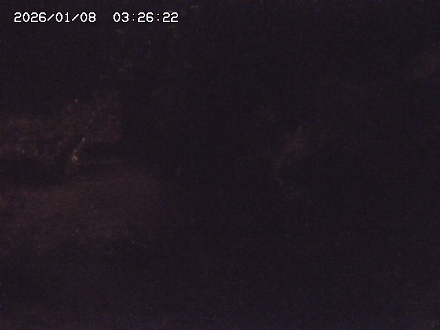 取得できませんでした