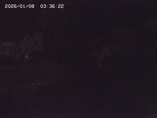 取得できませんでした