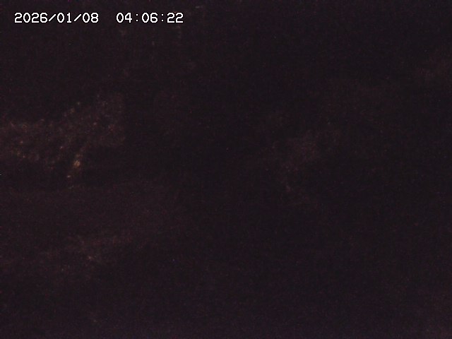 取得できませんでした