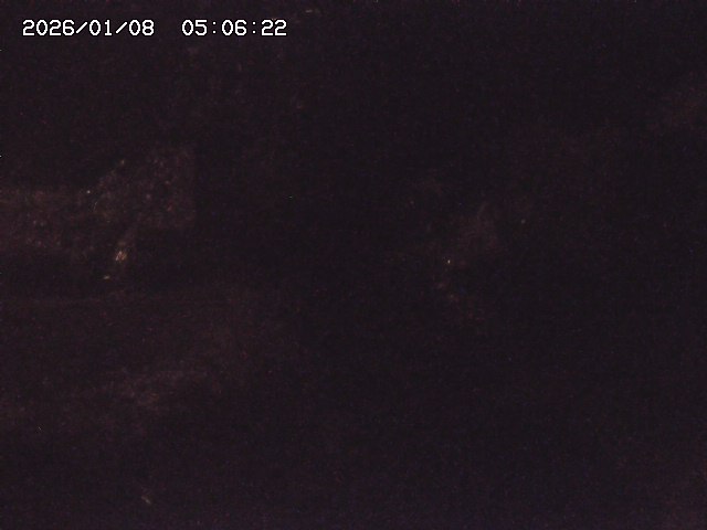 取得できませんでした