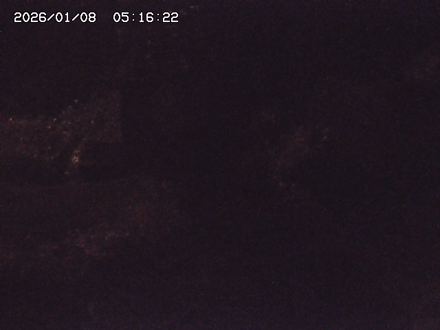 取得できませんでした