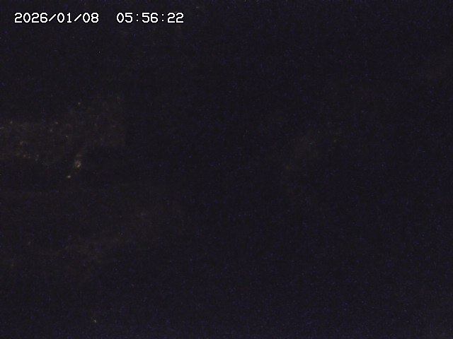 取得できませんでした