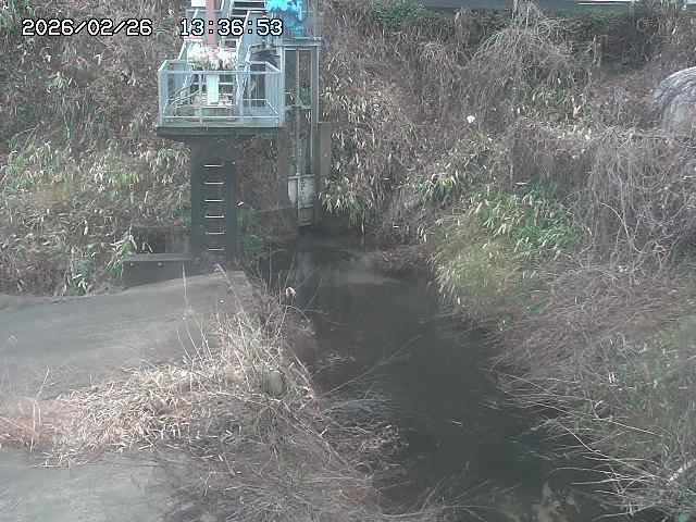 取得できませんでした