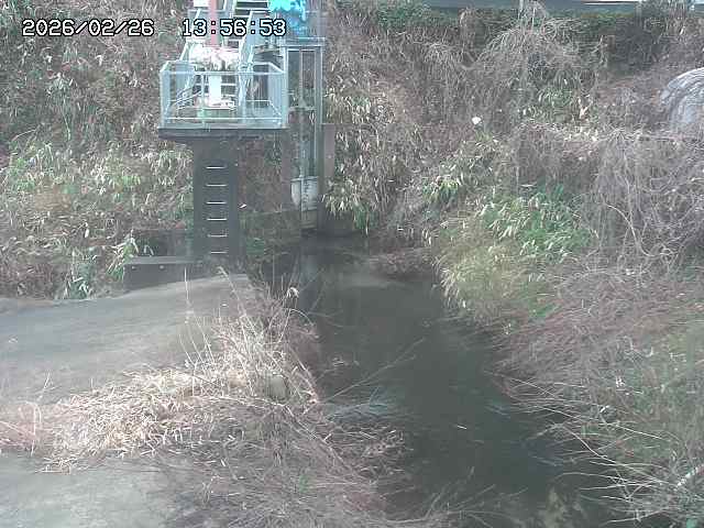 取得できませんでした