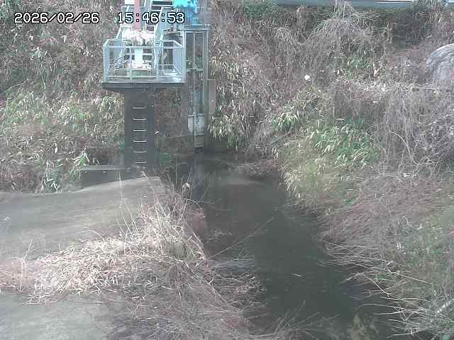 取得できませんでした