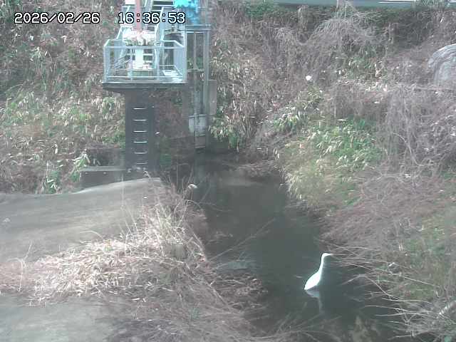 取得できませんでした