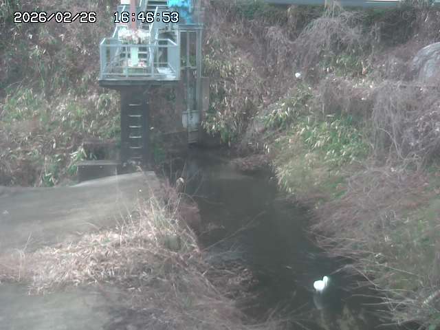 取得できませんでした