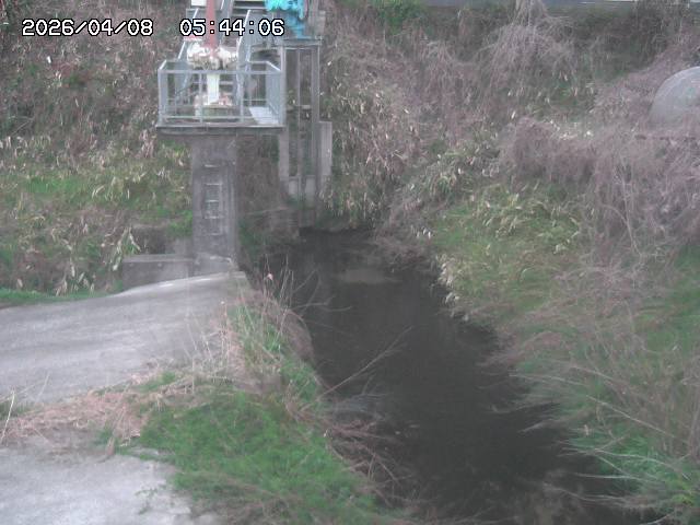 取得できませんでした