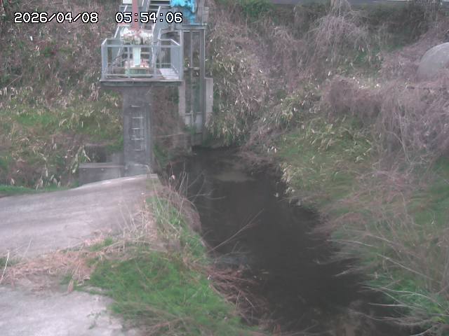 取得できませんでした