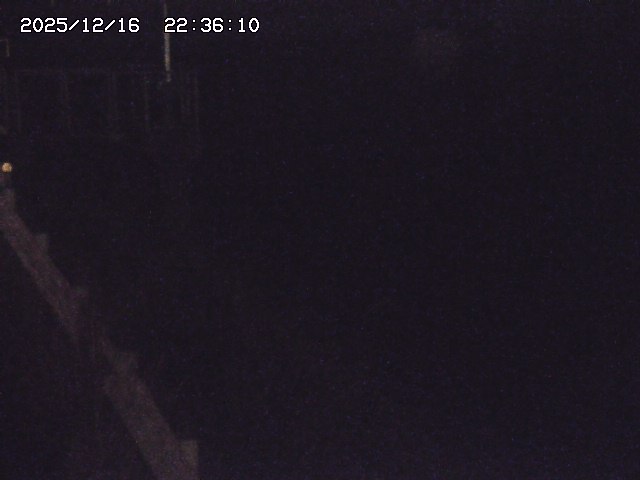 取得できませんでした