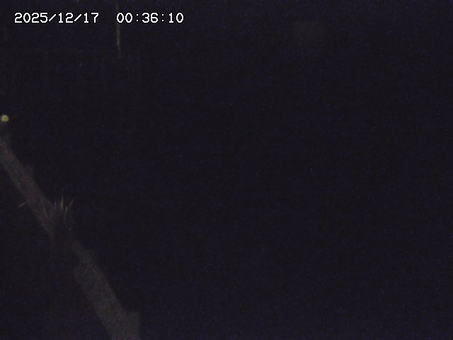 取得できませんでした