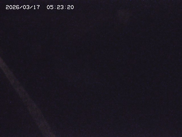 取得できませんでした