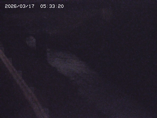 取得できませんでした