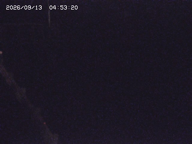 取得できませんでした
