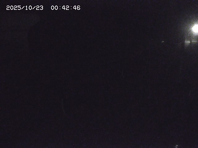 取得できませんでした