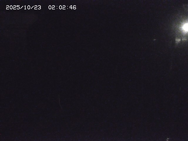 取得できませんでした
