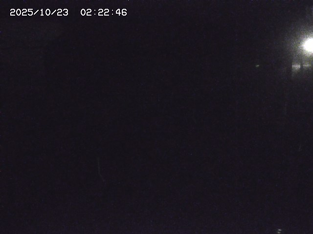 取得できませんでした