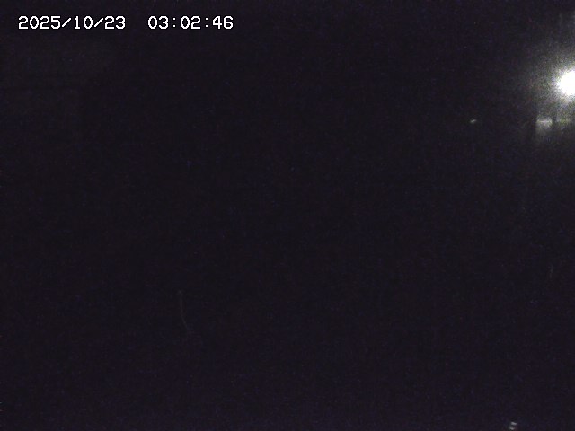 取得できませんでした