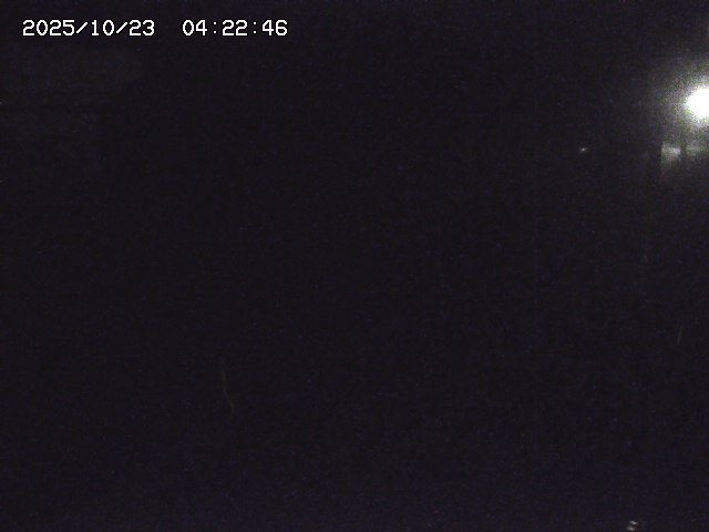 取得できませんでした