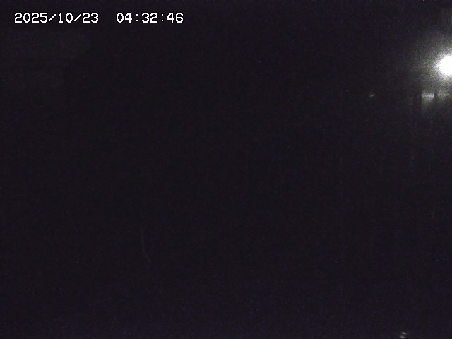 取得できませんでした