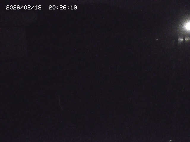 取得できませんでした