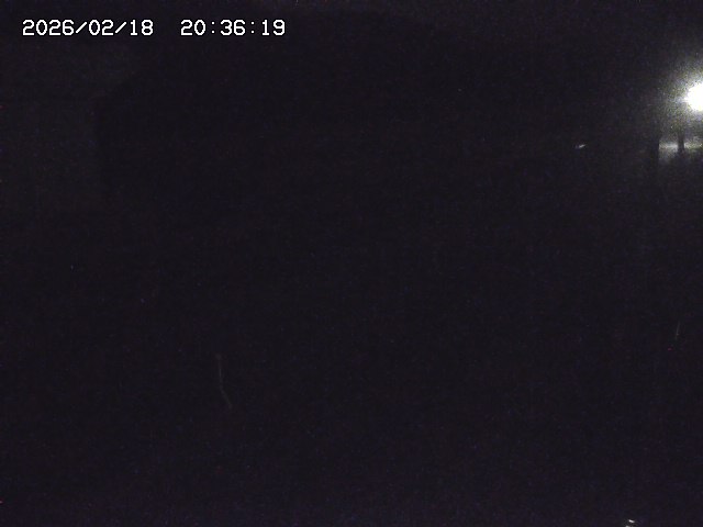 取得できませんでした