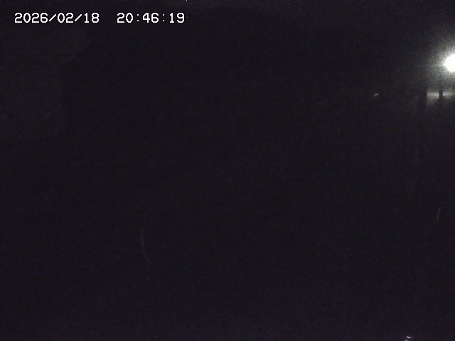 取得できませんでした