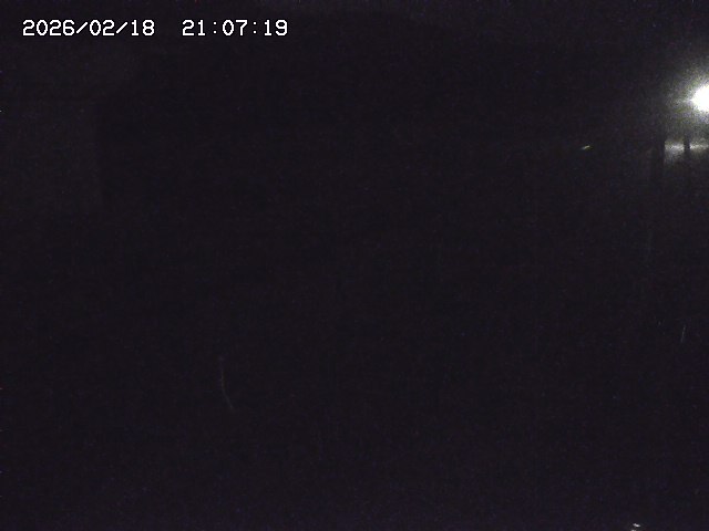 取得できませんでした