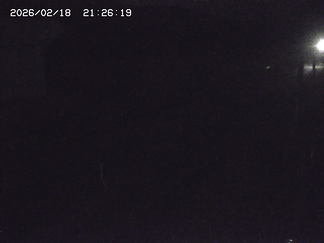 取得できませんでした