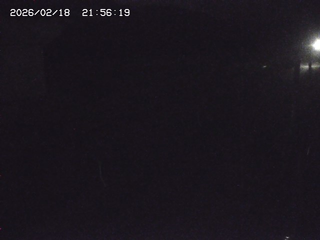 取得できませんでした