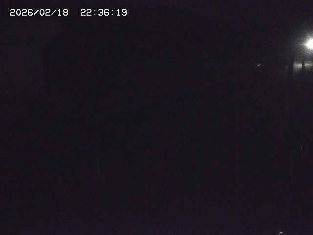 取得できませんでした