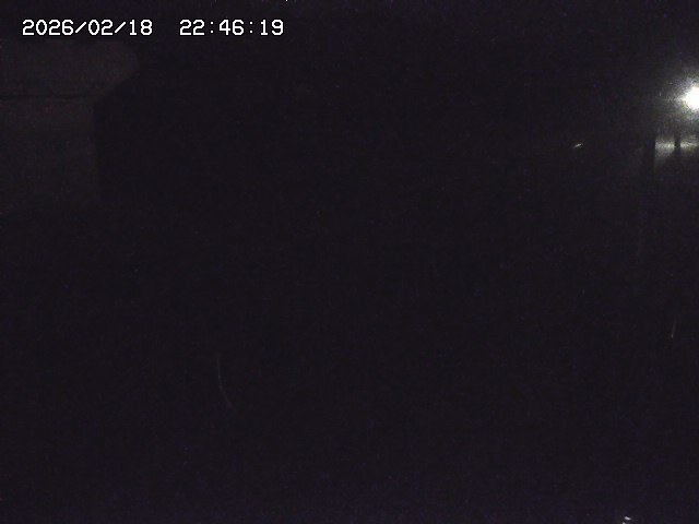 取得できませんでした