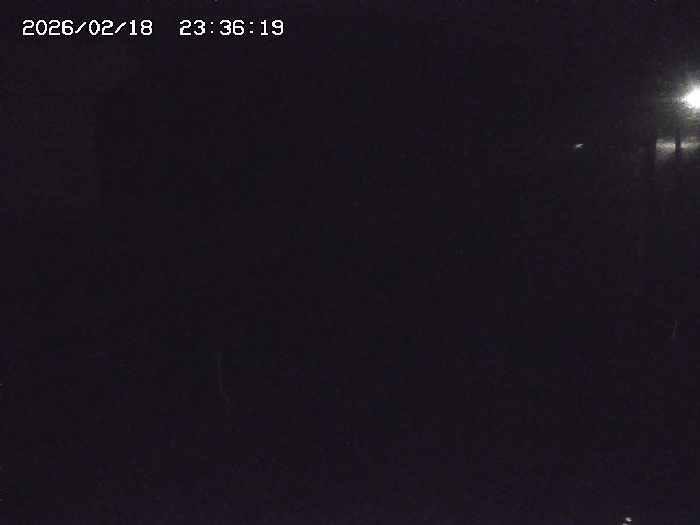 取得できませんでした