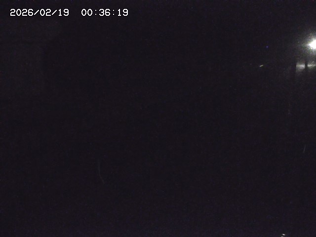 取得できませんでした