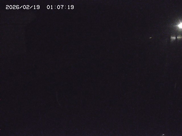 取得できませんでした