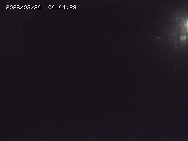 取得できませんでした