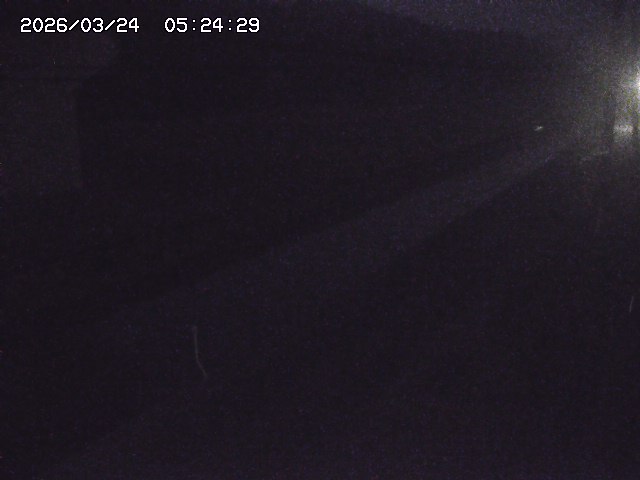 取得できませんでした